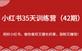 小红书35天训练营（42期）-用好小红书，做你喜欢又擅长的事，涨粉又赚钱！