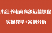 小红书电商高级运营课程 实操教学+案例分析