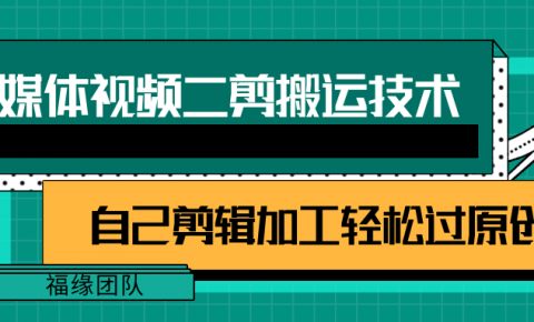 详细教你自媒体视频二剪搬运技术，自己加工轻松过原创【视频教程】