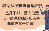 教您从0到1做直播带货，选择不对，努力白费，5小时课程搞定那点事，解决你起号问题！